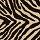 Masland Carpets: Zebra Plains Zebra
